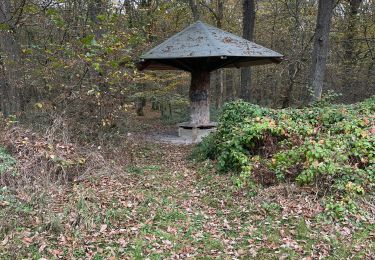 Tocht Stappen Heimbach - Variante alla 19 dopo Schimdt Eifel - Photo