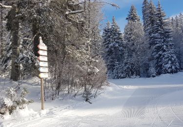 Randonnée Ski de fond Mijoux - Les louvatieres en coupant par le passage des dames - Photo