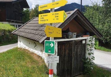 Percorso A piedi Gemeinde Scheffau am Wilden Kaiser - Blaikenrunde - Photo