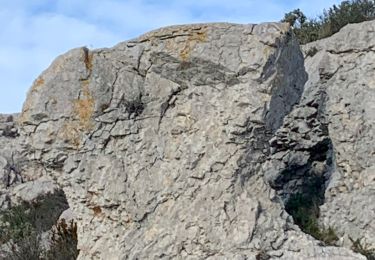 Trail Walking Marseille - Les calanques  - Photo