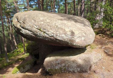 Excursión Senderismo Orbey - Les Pierres tremblantes - Photo