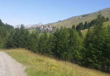 Trail Walking Molines-en-Queyras - arrivée st veran - Photo