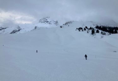 Tour Schneeschuhwandern Le Grand-Bornand - Le col des ânes  - Photo