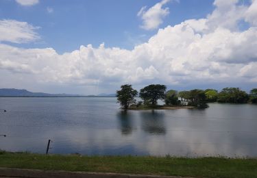 Randonnée Voiture  - Sri-11 Lyiangahawela - Buduruvagala - PN d'Udawalawe - Lac Chandrika - Photo
