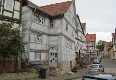 Excursión A pie Gudensberg - Gudensberger Panoramaweg Ostrunde - Photo