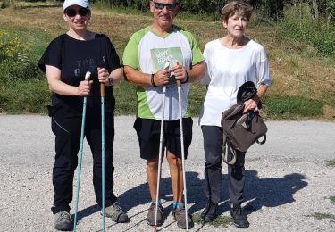 Randonnée Marche nordique Rosières-aux-Salines - mn rosières 24082024 - Photo