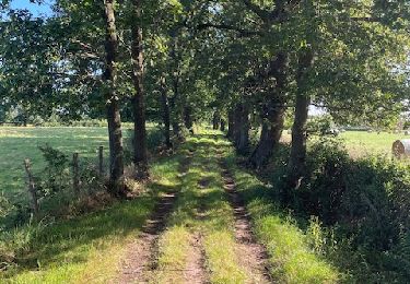 Tocht Stappen Ouches - Ouches-Les Durands - Photo