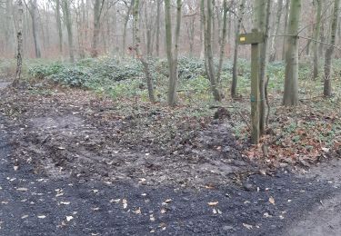 Tocht Stappen La Neuville - remise en état PR Oree du bois et circuit de Phalempin - Photo