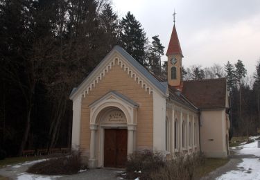 Randonnée A pied Hartl - Wanderweg 8 - Photo