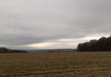 Randonnée Marche Liège - boncelles . la roche aux faucons retour  - Photo