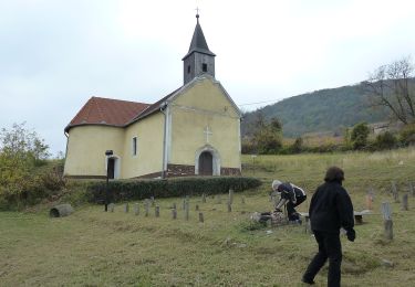 Randonnée A pied Magyarpolány - S (Somló) - Photo