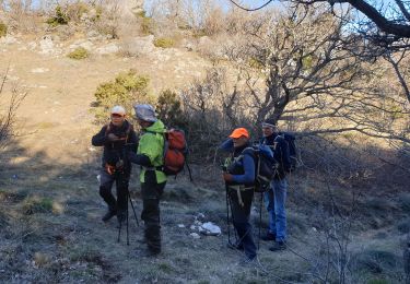 Tour Wandern Plan-d'Aups-Sainte-Baume - La Sainte Baume - Photo