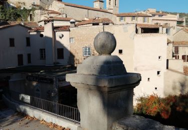 Percorso Marcia Seillans - Seillans Circuit des Pignes  - Photo