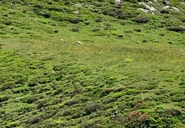 Excursión Senderismo Pralognan-la-Vanoise - Montaimont Cirque du Genepy-lac du Clou - Photo