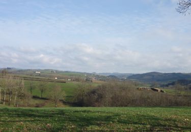 Percorso Mountainbike Roanne - De Roanne à Nandax et  Montagny - Photo