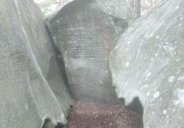 Trail Walking Fontainebleau - la faisanderie 18 mai 2021  - Photo