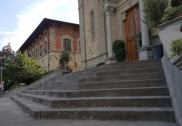 Tocht Te voet Bagno di Romagna - IT-BT4 - Photo