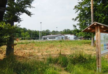 Tocht Te voet Onbekend - Jägerweg Route - Photo