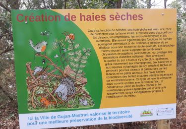 Tour Wandern Gujan-Mestras - parc de la chaineraie gujan Mestras  - Photo