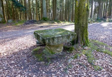 Trail On foot Fürth - Rundwanderweg Wegscheide II 3: Lärmfeuer-Weg - Photo