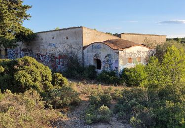 Randonnée Marche Torroella de Montgrí - Antic quartel de les bateries de costa franquistes - Photo