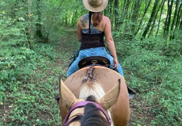 Trail Horseback riding Charency-Vezin - Charency Vezin chez Juliette pour ses 30 ans - Photo