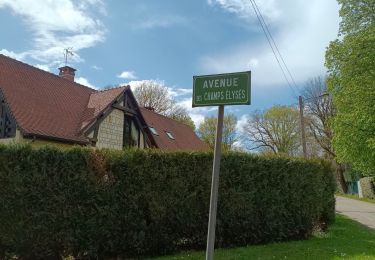 Tocht Stappen Brou-sur-Chantereine - Brou.04 - Photo