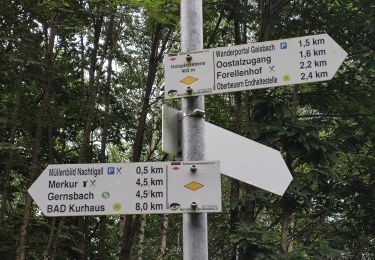 Trail On foot  - Oostal Rundweg - Photo