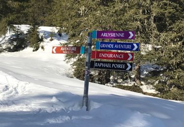 Randonnée Ski de fond Hauteluce - Les Saisies- Grande Aventure -Évasion -20km- 5h - Photo
