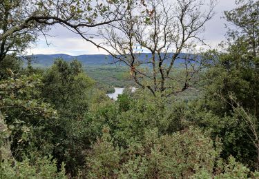 Randonnée Marche Bagnols-en-Forêt - Forêt Royale Bagnols en Forêt  - Photo