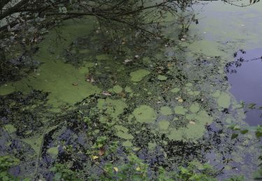 Randonnée Marche Deinze - 19 km autour de Deinze et Machelen - Photo