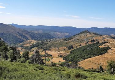 Excursión Senderismo Pont de Montvert - Sud Mont Lozère - Le mont finiel depuis finirl - Photo