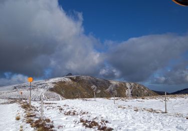 Tour Wandern Woll - sentier de névé  le hohneck - Photo