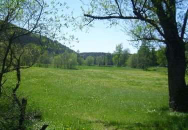 Trail On foot Lichtenfels - Lichtenfelser Panoramaweg - Photo