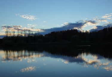 Tocht Te voet Wiesenbach - Tour 10 - Vogelparadies Oberegger Stausee - Photo