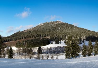 Tocht Te voet Steinbach-Hallenberg - Nr. 5 Rundweg Großer Hermannsberg - Photo