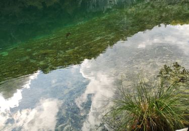 Randonnée Marche  - Lacs de Plitvice  - Photo