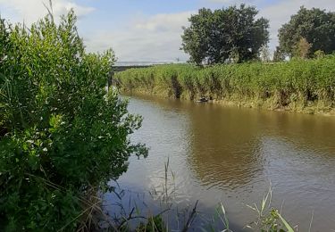 Tocht Stappen Le Teich - 18 juillet vers Fleury - Photo