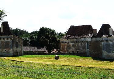 Randonnée A pied Saint-Aquilin - Boucle des Châteaux - Photo