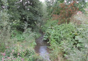 Tour Zu Fuß Zierenberg - Zierenberg, Z2 - Mühlenweg - Photo