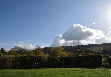 Trail Walking Limbourg - 20201104 - Hevremont 7 Km - Photo