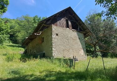 Tocht Stappen Challes-les-Eaux - bellevarde-19-06-23 - Photo