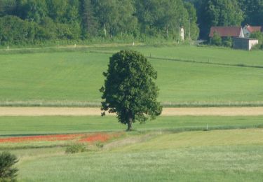 Tour Zu Fuß Königsfeld - Kapellenweg Königsfeld - Gelbe Route - Photo