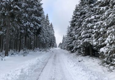 Randonnée Marche Butgenbach - Dans la neige  - Photo