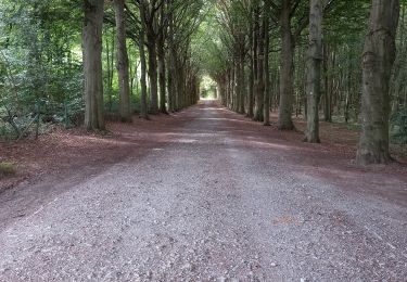 Tour Wandern Modave - Château de Modave - Photo