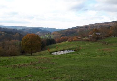 Excursión Senderismo Stoumont - Stoumont Extra Trail bleu - Photo