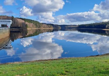 Tour Wandern Baelen - Hute barage - Photo