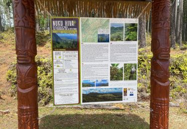 Randonnée Marche Nuku Hiva - TOOVII - Photo