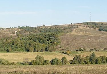 Trail On foot Szirák - Reformációi Emlékút - Photo