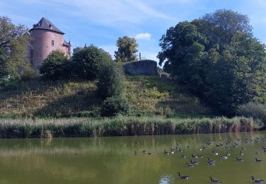 Tour Wandern Lennik - gaasbeek (départ du parking du château) - Photo